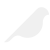 BIRDEYE.png